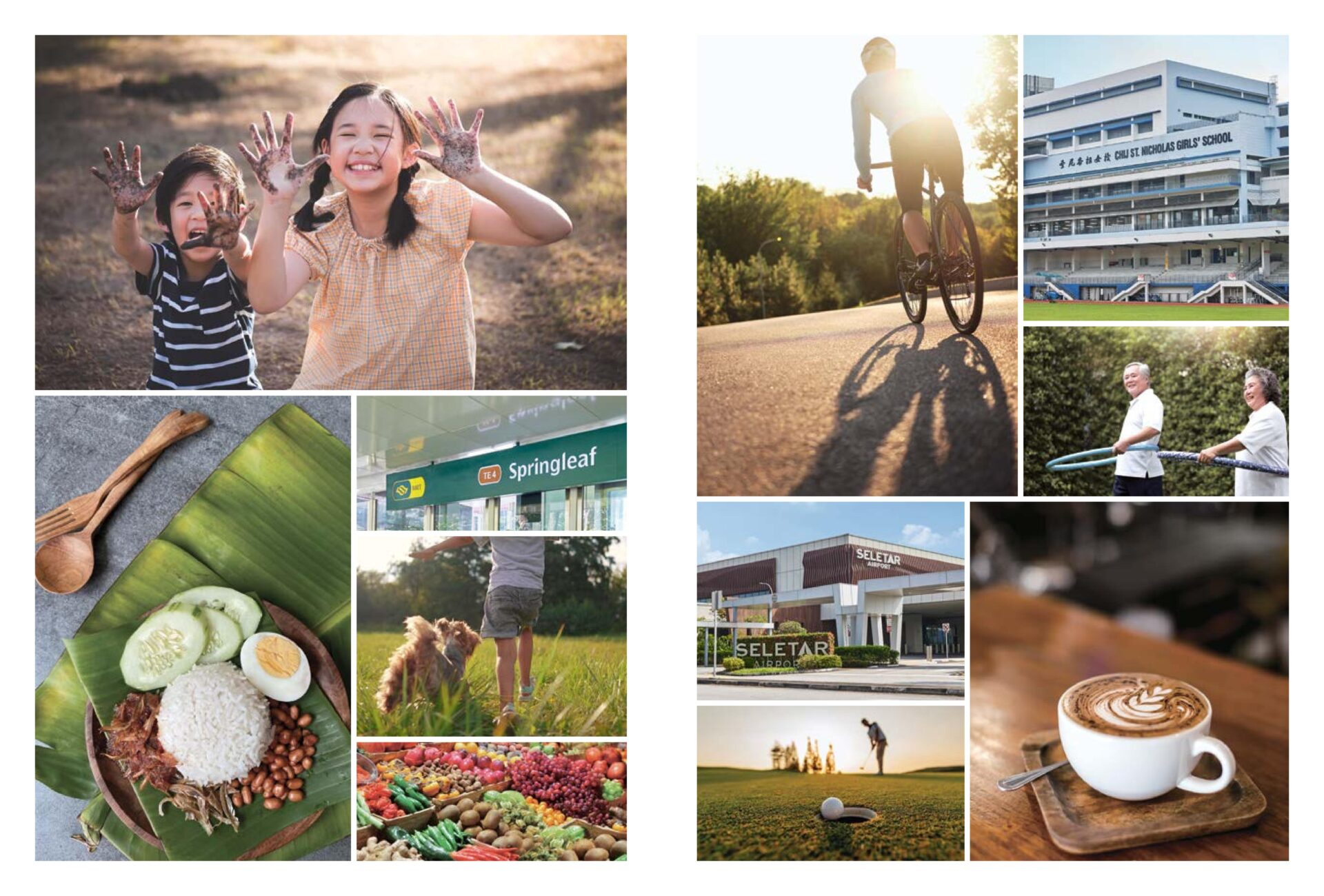 Nearby Amenities Around Springleaf Collection