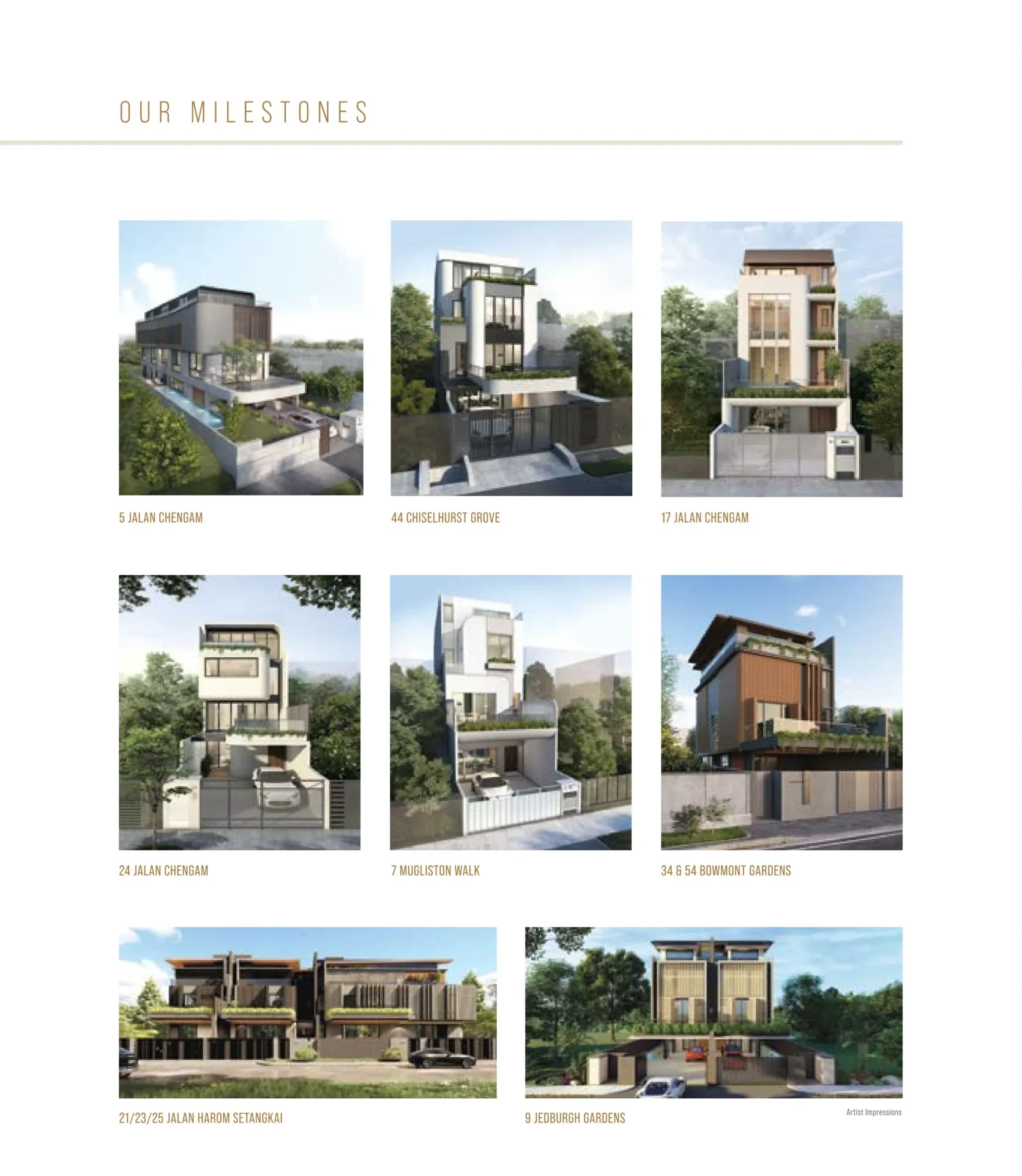 Developer's Previous Projects