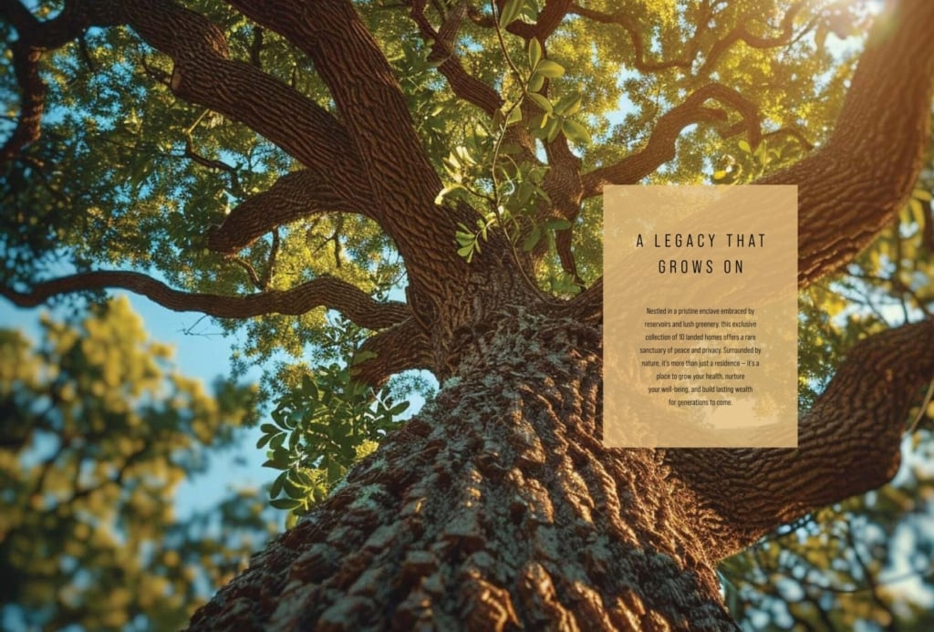 Springleaf Collection | Exclusive 999-Year Landed Homes in Singapore