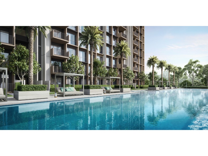 Coastal Cabana EC – 50m Lifestyle Pool Palm Trees